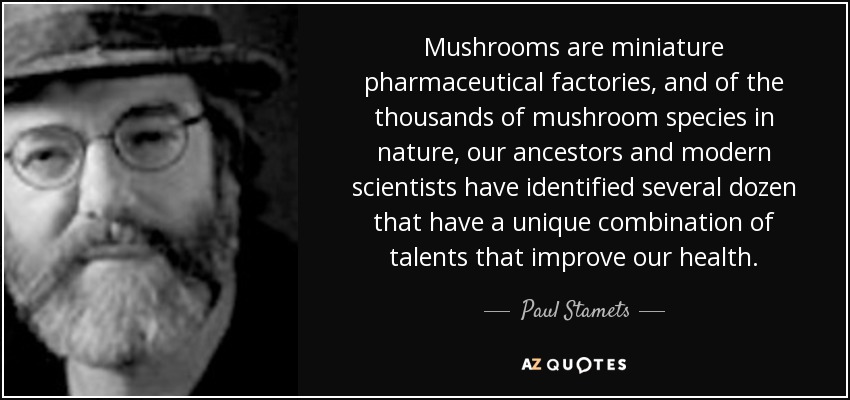 Mushrooms are miniature pharmaceutical factories, and of the thousands of mushroom species in nature, our ancestors and modern scientists have identified several dozen that have a unique combination of talents that improve our health. - Paul Stamets