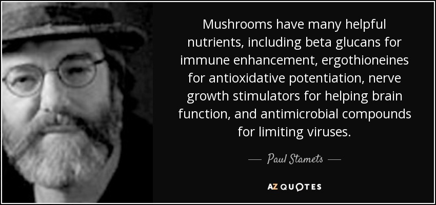Mushrooms have many helpful nutrients, including beta glucans for immune enhancement, ergothioneines for antioxidative potentiation, nerve growth stimulators for helping brain function, and antimicrobial compounds for limiting viruses. - Paul Stamets