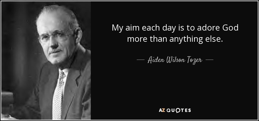 My aim each day is to adore God more than anything else. - Aiden Wilson Tozer