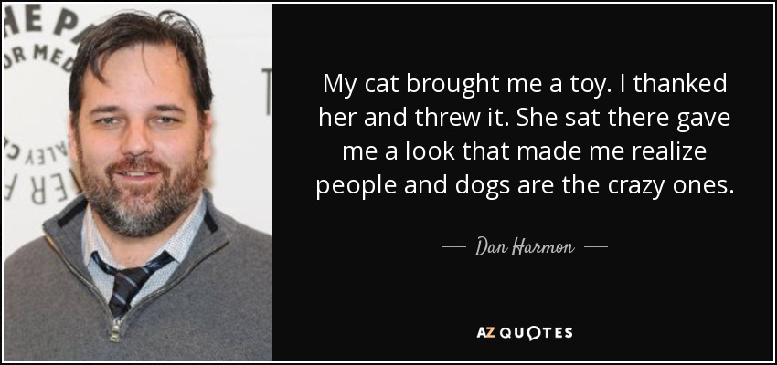 My cat brought me a toy. I thanked her and threw it. She sat there gave me a look that made me realize people and dogs are the crazy ones. - Dan Harmon