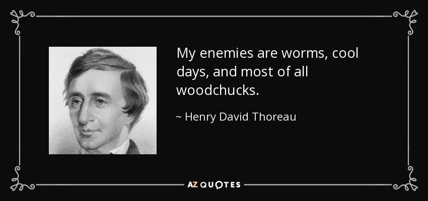 My enemies are worms, cool days, and most of all woodchucks. - Henry David Thoreau