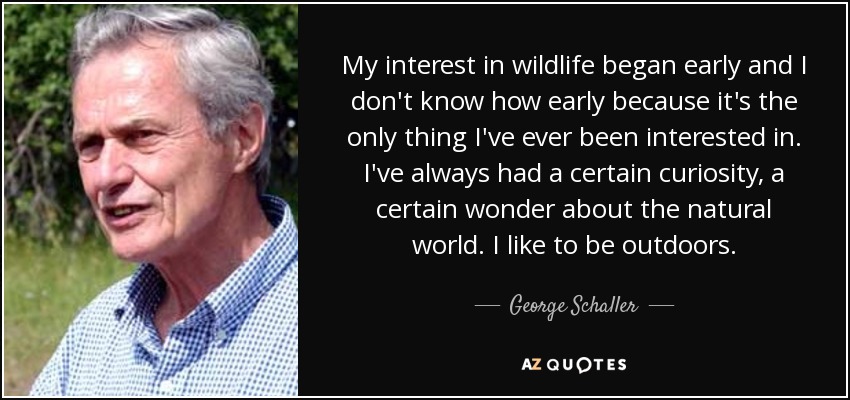 My interest in wildlife began early and I don't know how early because it's the only thing I've ever been interested in. I've always had a certain curiosity, a certain wonder about the natural world. I like to be outdoors. - George Schaller