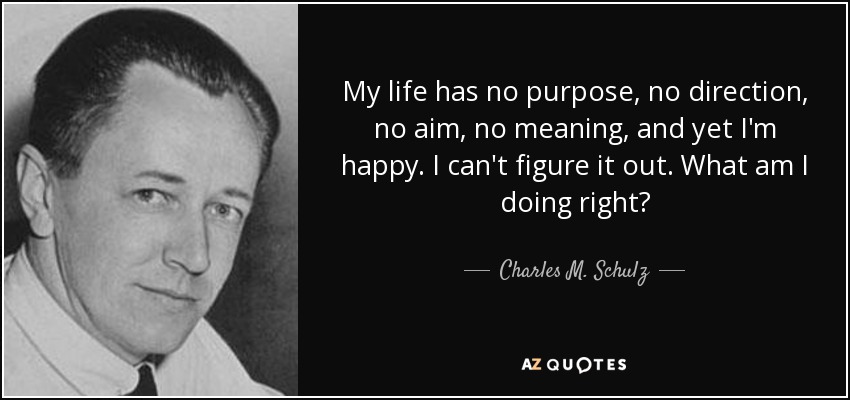 My life has no purpose, no direction, no aim, no meaning, and yet I'm happy. I can't figure it out. What am I doing right? - Charles M. Schulz