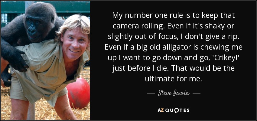 My number one rule is to keep that camera rolling. Even if it's shaky or slightly out of focus, I don't give a rip. Even if a big old alligator is chewing me up I want to go down and go, 'Crikey!' just before I die. That would be the ultimate for me. - Steve Irwin