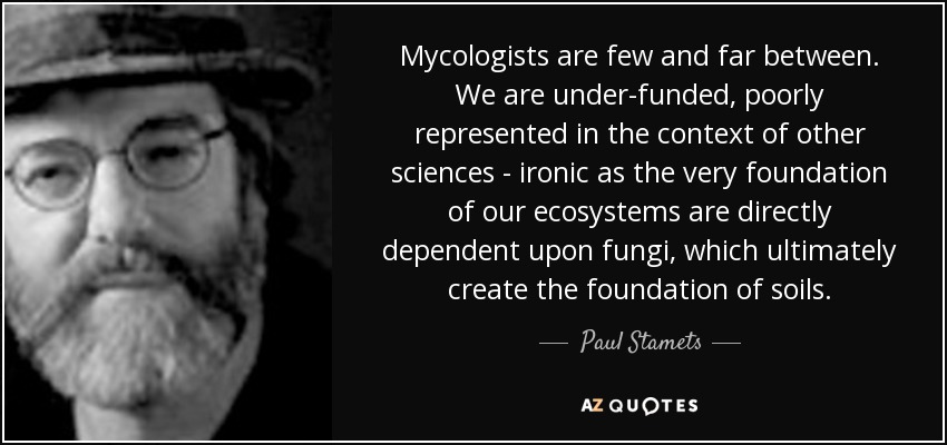 Mycologists are few and far between. We are under-funded, poorly represented in the context of other sciences - ironic as the very foundation of our ecosystems are directly dependent upon fungi, which ultimately create the foundation of soils. - Paul Stamets