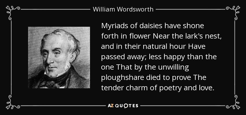 Myriads of daisies have shone forth in flower Near the lark's nest, and in their natural hour Have passed away; less happy than the one That by the unwilling ploughshare died to prove The tender charm of poetry and love. - William Wordsworth