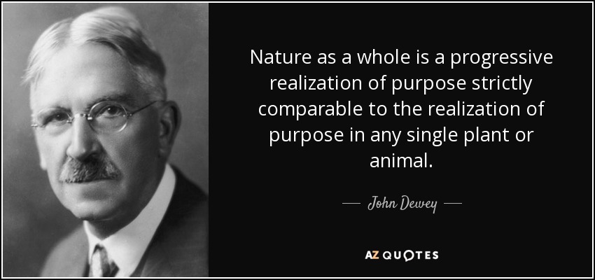 Nature as a whole is a progressive realization of purpose strictly comparable to the realization of purpose in any single plant or animal. - John Dewey