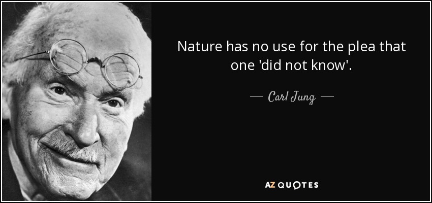 Nature has no use for the plea that one 'did not know'. - Carl Jung