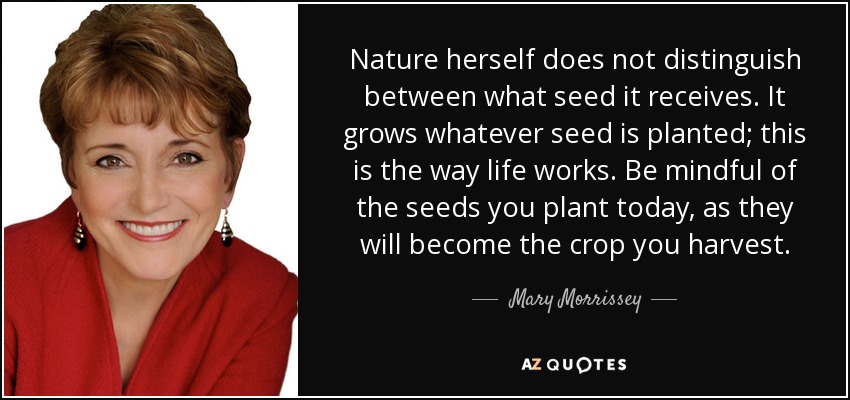 Nature herself does not distinguish between what seed it receives. It grows whatever seed is planted; this is the way life works. Be mindful of the seeds you plant today, as they will become the crop you harvest. - Mary Morrissey