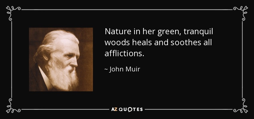 Nature in her green, tranquil woods heals and soothes all afflictions. - John Muir