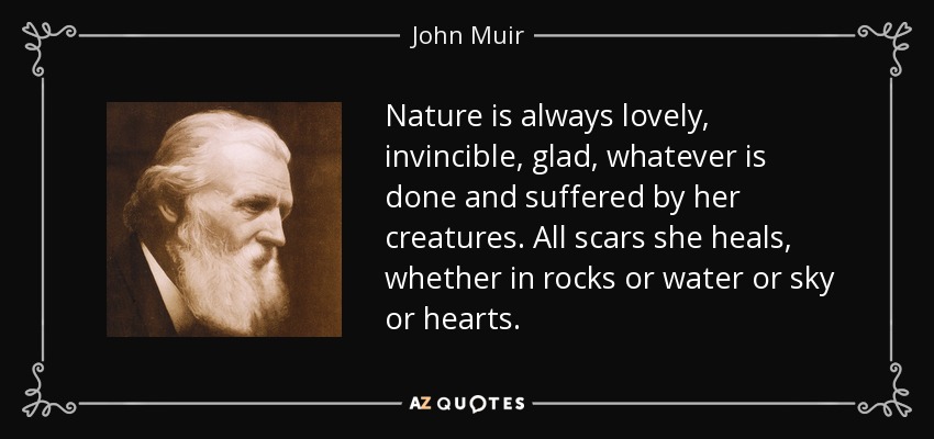 Nature is always lovely, invincible, glad, whatever is done and suffered by her creatures. All scars she heals, whether in rocks or water or sky or hearts. - John Muir