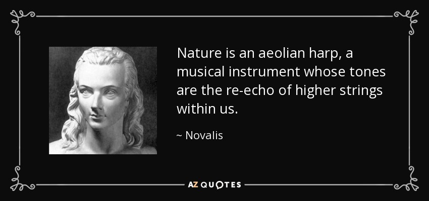 Nature is an aeolian harp, a musical instrument whose tones are the re-echo of higher strings within us. - Novalis