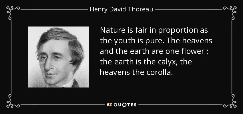 Nature is fair in proportion as the youth is pure. The heavens and the earth are one flower ; the earth is the calyx, the heavens the corolla. - Henry David Thoreau