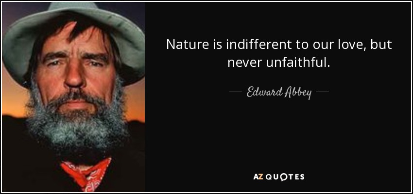 Nature is indifferent to our love, but never unfaithful. - Edward Abbey