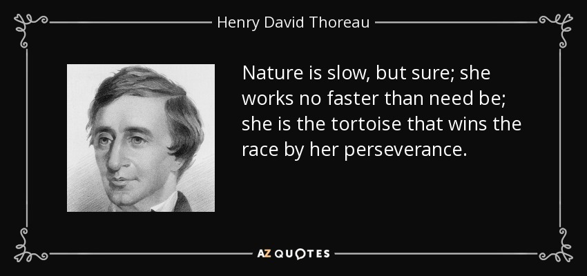 Nature is slow, but sure; she works no faster than need be; she is the tortoise that wins the race by her perseverance. - Henry David Thoreau