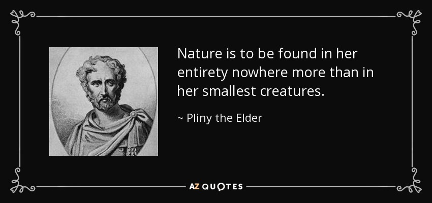 Nature is to be found in her entirety nowhere more than in her smallest creatures. - Pliny the Elder