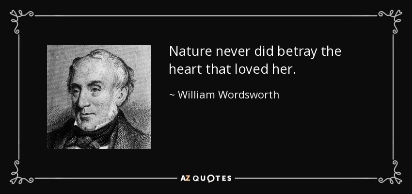 William Wordsworth Quote Nature Never Did Betray The Heart That Loved Her 8424