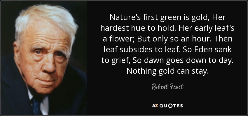 Nature's first green is gold, Her hardest hue to hold. Her early leaf's a flower; But only so an hour. Then leaf subsides to leaf. So Eden sank to grief, So dawn goes down to day. Nothing gold can stay. - Robert Frost