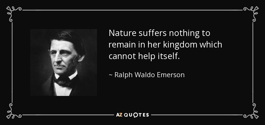 Nature suffers nothing to remain in her kingdom which cannot help itself. - Ralph Waldo Emerson