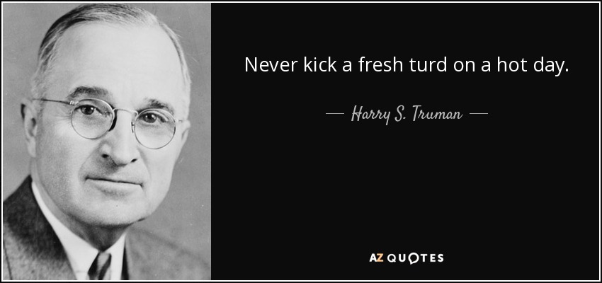 Never kick a fresh turd on a hot day. - Harry S. Truman