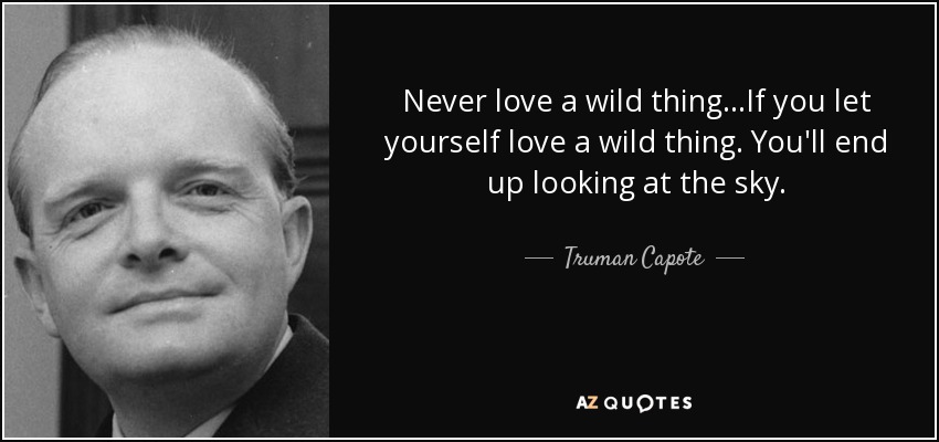 Never love a wild thing...If you let yourself love a wild thing. You'll end up looking at the sky. - Truman Capote