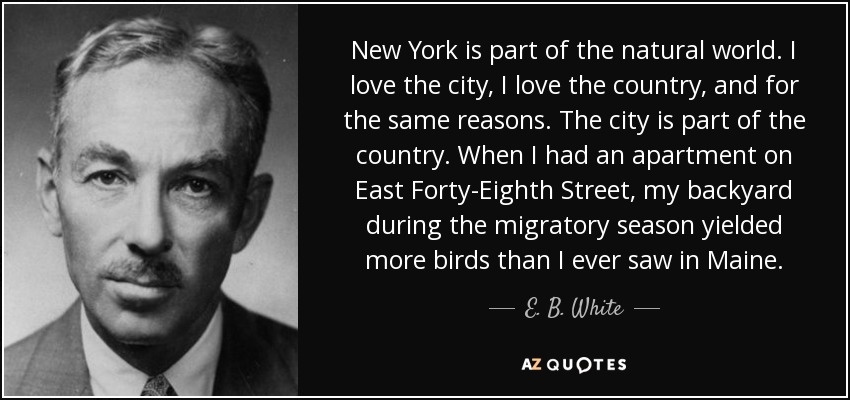 New York is part of the natural world. I love the city, I love the country, and for the same reasons. The city is part of the country. When I had an apartment on East Forty-Eighth Street, my backyard during the migratory season yielded more birds than I ever saw in Maine. - E. B. White