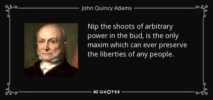 Nip the shoots of arbitrary power in the bud, is the only maxim which can ever preserve the liberties of any people. - John Quincy Adams
