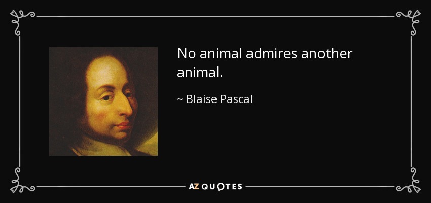 No animal admires another animal. - Blaise Pascal
