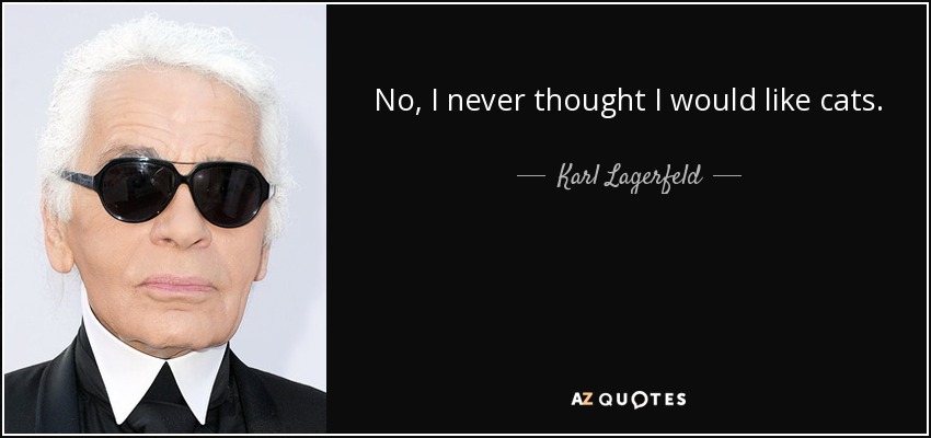 No, I never thought I would like cats. - Karl Lagerfeld