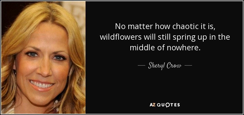 No matter how chaotic it is, wildflowers will still spring up in the middle of nowhere. - Sheryl Crow
