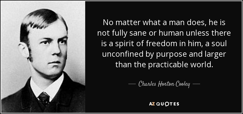 No matter what a man does, he is not fully sane or human unless there is a spirit of freedom in him, a soul unconfined by purpose and larger than the practicable world. - Charles Horton Cooley