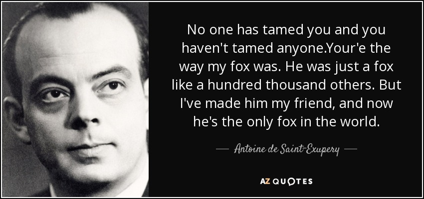 No one has tamed you and you haven't tamed anyone.Your'e the way my fox was. He was just a fox like a hundred thousand others. But I've made him my friend, and now he's the only fox in the world. - Antoine de Saint-Exupery