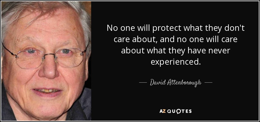 No one will protect what they don't care about, and no one will care about what they have never experienced. - David Attenborough