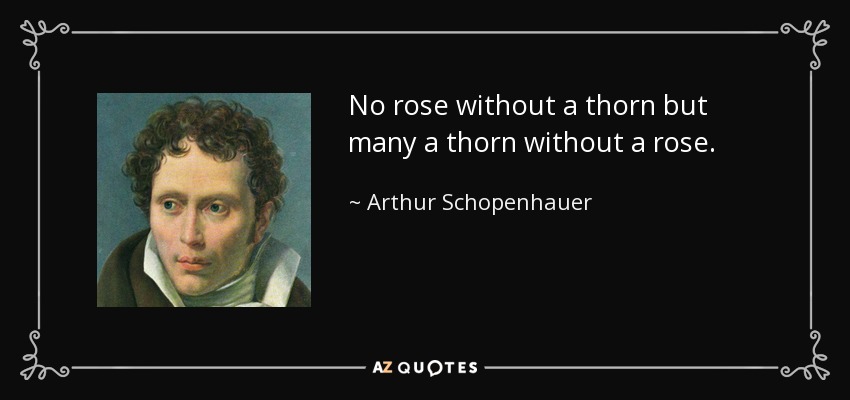 No rose without a thorn but many a thorn without a rose. - Arthur Schopenhauer