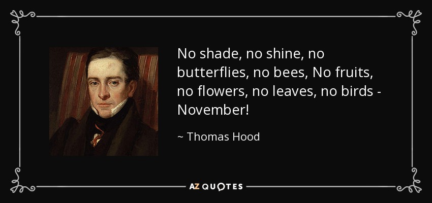 No shade, no shine, no butterflies, no bees, No fruits, no flowers, no leaves, no birds - November! - Thomas Hood