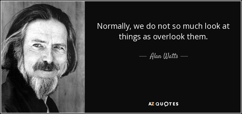 Normally, we do not so much look at things as overlook them. - Alan Watts