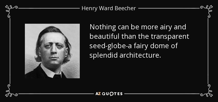 Nothing can be more airy and beautiful than the transparent seed-globe-a fairy dome of splendid architecture. - Henry Ward Beecher