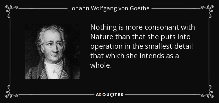 Nothing is more consonant with Nature than that she puts into operation in the smallest detail that which she intends as a whole. - Johann Wolfgang von Goethe