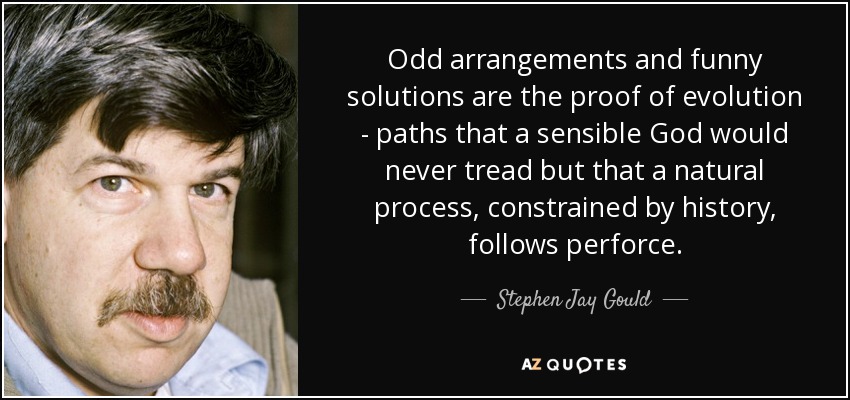 Odd arrangements and funny solutions are the proof of evolution - paths that a sensible God would never tread but that a natural process, constrained by history, follows perforce. - Stephen Jay Gould