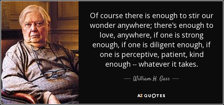 Of course there is enough to stir our wonder anywhere; there's enough to love, anywhere, if one is strong enough, if one is diligent enough, if one is perceptive, patient, kind enough -- whatever it takes. - William H. Gass