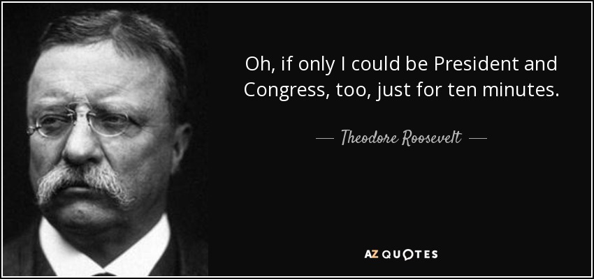 Oh, if only I could be President and Congress, too, just for ten minutes. - Theodore Roosevelt