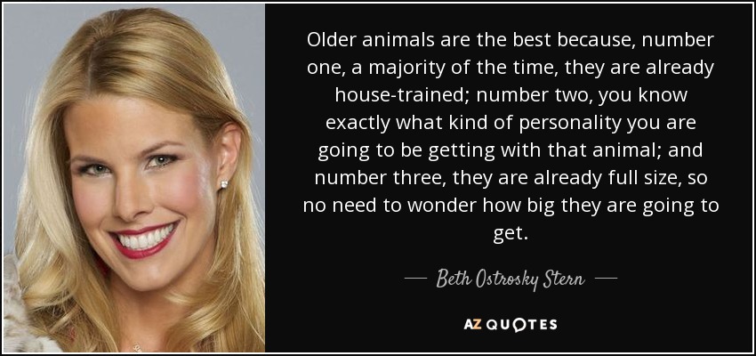 Older animals are the best because, number one, a majority of the time, they are already house-trained; number two, you know exactly what kind of personality you are going to be getting with that animal; and number three, they are already full size, so no need to wonder how big they are going to get. - Beth Ostrosky Stern