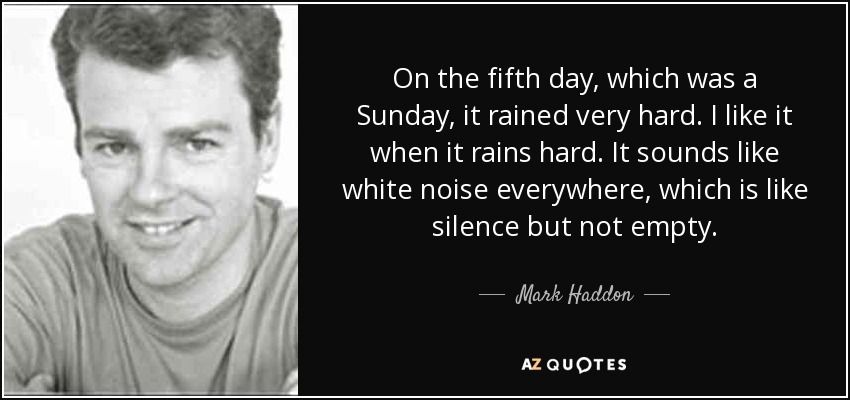 On the fifth day, which was a Sunday, it rained very hard. I like it when it rains hard. It sounds like white noise everywhere, which is like silence but not empty. - Mark Haddon