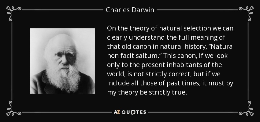 On the theory of natural selection we can clearly understand the full meaning of that old canon in natural history, “Natura non facit saltum.” This canon, if we look only to the present inhabitants of the world, is not strictly correct, but if we include all those of past times, it must by my theory be strictly true. - Charles Darwin