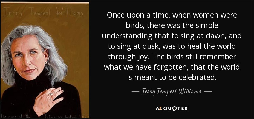 Once upon a time, when women were birds, there was the simple understanding that to sing at dawn, and to sing at dusk, was to heal the world through joy. The birds still remember what we have forgotten, that the world is meant to be celebrated. - Terry Tempest Williams