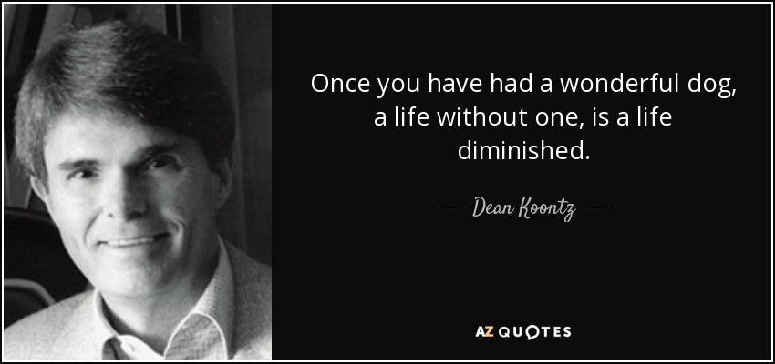 Once you have had a wonderful dog, a life without one, is a life diminished. - Dean Koontz