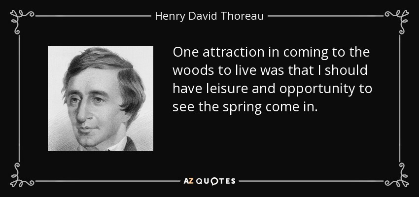 One attraction in coming to the woods to live was that I should have leisure and opportunity to see the spring come in. - Henry David Thoreau