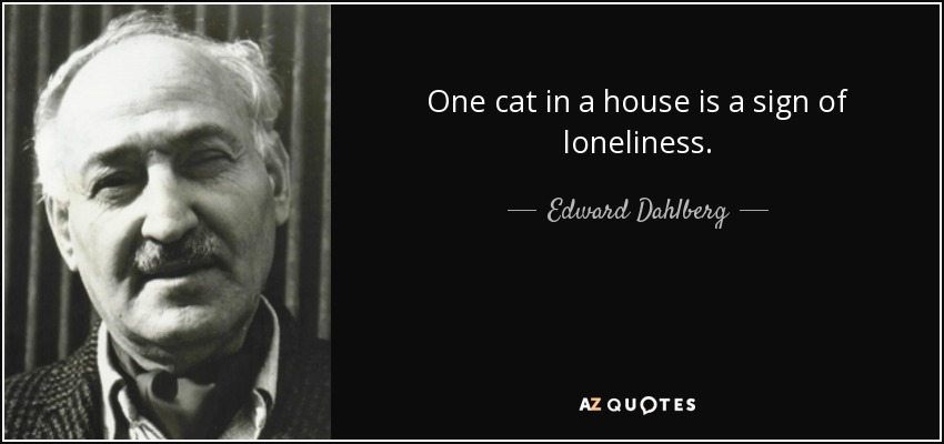 One cat in a house is a sign of loneliness. - Edward Dahlberg