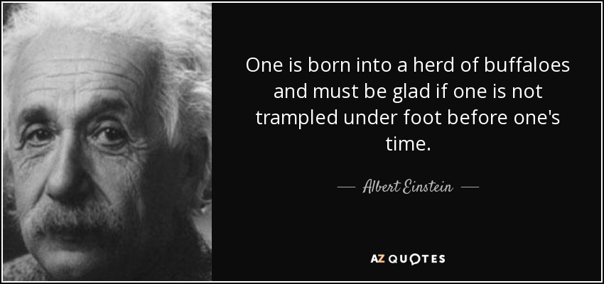 One is born into a herd of buffaloes and must be glad if one is not trampled under foot before one's time. - Albert Einstein