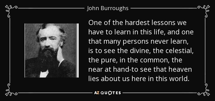 One of the hardest lessons we have to learn in this life, and one that many persons never learn, is to see the divine, the celestial, the pure, in the common, the near at hand-to see that heaven lies about us here in this world. - John Burroughs